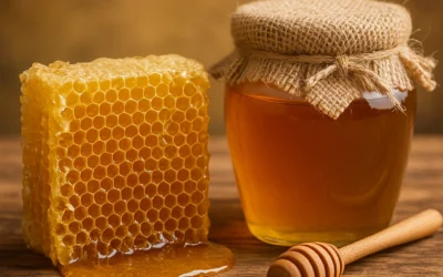 Właściwości zdrowotne miodu